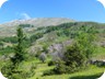 On the hike towards Arithit. For a long while, one has the fasle summit in view.