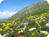 Approaching the summit of Tolla