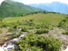 Near the trailhead - the intricate water channels that sometimes seem to make water flowing uphill.