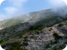 Looking up the slopes of Cajupi