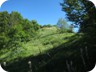 Following the rocky bits to the first summit, the crest is generally gentle and grassy, or through forests of tall trees.