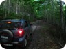 The road leads through thick forest - and continues for a long while. The road reaches an elevation of 1500 Meter.
