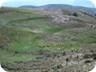 Shepherds near the trailhead. The dogs behaved well.