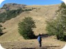 Reaching the grassy slopes