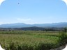 Guri i Zi (under the red dot) as seen from Perrenjas, along the road connecting Tirana and Lake Ohrid.