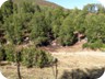 At the trailhead, near several sheep pens. It would be possible to drive on for another few hundred Meters to an abandonned police station, but it is not worth the effort.