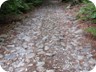 For much of the way to the trailhead, the old military road is cobbled, but remains enourmously rocky