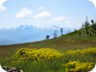 On the way to Kalimash pass. In the distance, snow-covered Korab massif. 