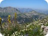 In early June - springtime on the mountain - flowers were in abundance. The first glimpse of Qorres and Cikes