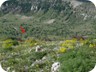 During almost the entire trip (1100 Meter elevation gain), the trailhead remains in view. The arrow points to our car