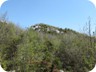 The summit of Kalasës, as it appears after the first (light) bushwhack