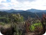 View towards Luncit and ShenMarie (see separate trail: Two For One)