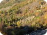 Autumn near Cerujë