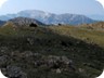 The summit area of Lure Mountain. The grey ridge with its steep eastern wall is Mali i Dejes