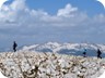 On the summit ridge