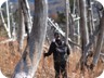 Weaving our way back through the trees. (Photo courtesy of Endrit Shima)