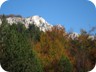 Fall colors on Mali i Munellës