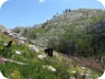 There is no trail whatsoever. While beautiful to look at, movement is very difficult in the jumble of rocks, stones, dead trees, weeds and brambles.