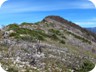 Having left the forest for the open ridge to the summit