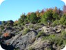 Well into our hike, a horseman crossed the ridge and our path for a few dozen meters. Most of the trail up would not be suitable for horses.