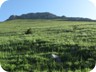 The grassy slopes of Pashtrik. They are steeper than the image may suggest.