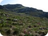 Approaching the col between the two Pashtrik summits. Wildflowers and orchids in abundance.