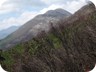 On the descend from the ridge. The described return path leads to heavily burned shrubs.