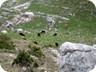 and a cattle post, near the trailhead