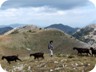 Traffic on the mountain