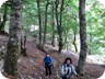 The lower part of the trail leads through delightful forest