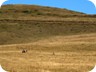 Part of the hike is across a vast expanse of grassland. It is Sunday morning and local travellers are on their way to Macedonia.