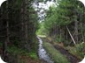 On the old road to Kalimash Mountain