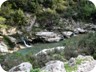 Springs in Zeza Canyon