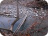 One of the many makeshift bridges. We crossed at least five or six rivers before reaching our car