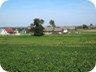 Rural Belarus