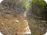 The trail follows an old military road, which is often heavily overgrown