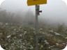 The turn to Goli Vrh, waypoint 08. From here, we couldn't find any trail markings, and there is no path. In spite of the fog, it was not too difficult to find the way to the summit.