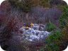 Back at the fork-and-bench waypoint, just before nightfall