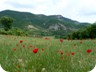 Looking back to Kodra e Xhanivet