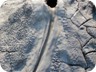 Intriguing shapes on mud volcanoes