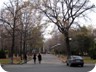 Bishkek has many parks