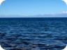 Lake Issyk-Kul is said to be the second highest alpine lake (at 1600 meter) with the second clearest waters. Visibility through the water is measured at 15 meter.