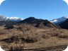 Alpine meadows near the Seven Bulls